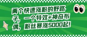 两个快速涨粉的野路子,一个特效+神奇布偶,粉丝暴涨5000起【揭秘】-淘金日记