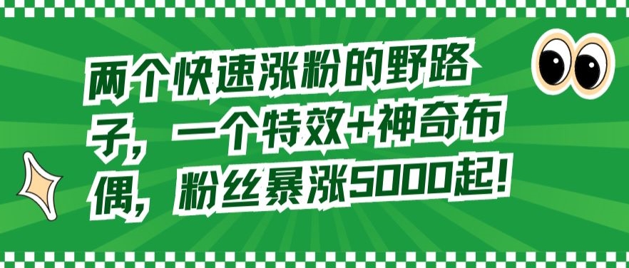 两个快速涨粉的野路子，一个特效+神奇布偶，粉丝暴涨5000起【揭秘】-淘金日记