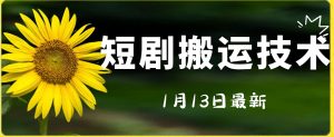 最新短剧搬运技术,电脑手机都可以操作,不限制机型-淘金日记