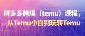 拼多多跨境（temu）课程，从Temu小白到玩转Temu-淘金日记