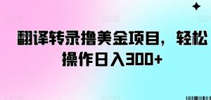 翻译转录撸美金项目,轻松操作日入300+【揭秘】-淘金日记