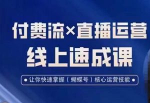 视频号付费流实操课程,付费流✖️直播运营速成课,让你快速掌握视频号核心运营技能-淘金日记