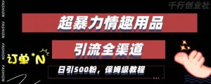 最新情趣项目引流全渠道,自带高流量,保姆级教程,轻松破百单,日引500+粉【揭秘】-淘金日记
