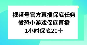 视频号直播任务，微恐小游戏，1小时20+【揭秘】-淘金日记