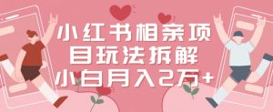 小红书相亲项目玩法拆解，有人通过这个副业项目做到了月收入2万多【揭秘】-淘金日记