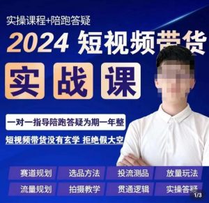 果哥·2024短视频带货实操课,赛道规划/选品方法/投流测品/放量玩法/流量规划/拍摄教学-淘金日记