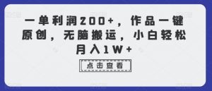 一单利润200+，作品一键原创，无脑搬运，小白轻松月入1W+【揭秘】-淘金日记