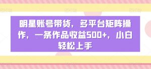明星账号带货，多平台矩阵操作，一条作品收益500+，小白轻松上手【揭秘】-淘金日记