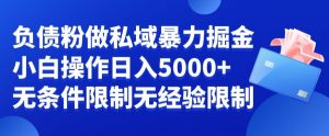 负债粉私域暴力掘金，小白操作入5000，无经验限制，无条件限制【揭秘】-淘金日记