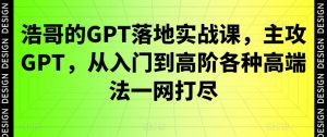 浩哥的GPT落地实战课,主攻GPT,从入门到高阶各种高端法一网打尽-淘金日记