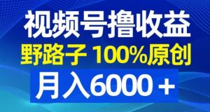 视频号野路子撸收益，100%原创，条条爆款，月入6000＋【揭秘】-淘金日记