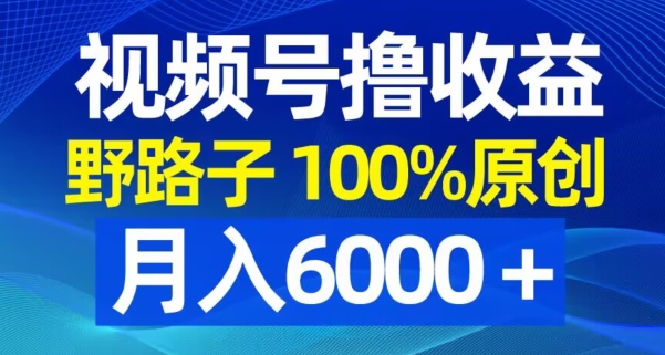 视频号野路子撸收益，100%原创，条条爆款，月入6000＋【揭秘】-淘金日记