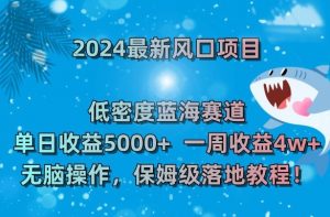 2024最新风口项目，低密度蓝海赛道，单日收益5000+，一周收益4w+！【揭秘】-淘金日记