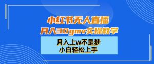 小红书无人直播月入30gmv实操教学,月入上w不是梦,小白轻松上手【揭秘】-淘金日记