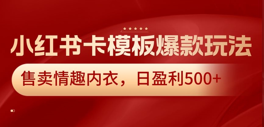 小红书卡模板爆款玩法，售卖情趣内衣，日盈利500+【揭秘】-淘金日记