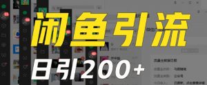 外面收费6980闲鱼引流法,日引200+创业粉,每天稳定2000+收益,保姆级教程(适合居家创业)-淘金日记