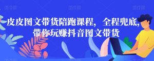 皮皮图文带货陪跑课程,全程兜底,带你玩赚抖音图文带货-淘金日记