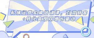 私域运营实操培训课，引流获客+转化变现双增长驱动-淘金日记