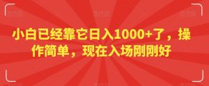小白已经靠它日入1000+了，操作简单，现在入场刚刚好【揭秘】-淘金日记