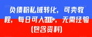 负债粉私域转化,可卖教程,每日可入2000+,无需经验(包含资料)【揭秘】-淘金日记