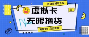虚拟卡无限撸货，百分百成功下车【仅揭秘】-淘金日记