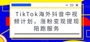TikTok海外抖音中视频计划，涨粉变现提现陪跑服务-淘金日记