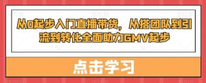 从0起步入门直播带货，​从搭团队到引流到转化全面助力GMV起步-淘金日记
