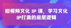 短视频文化IP课,学习文化IP打造的底层逻辑-淘金日记