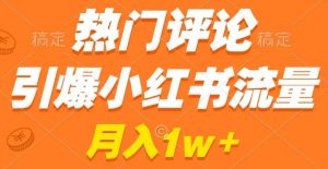 热门评论引爆小红书流量,作品制作简单,商单接到手软【揭秘】-淘金日记