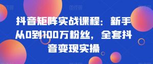 抖音矩阵实战课程:新手从0到100万粉丝,全套抖音变现实操-淘金日记
