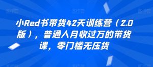 小Red书带货42天训练营(2.0版),普通人月收过万的带货课,零门槛无压货-淘金日记