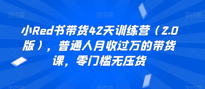 小Red书带货42天训练营(2.0版),普通人月收过万的带货课,零门槛无压货-淘金日记