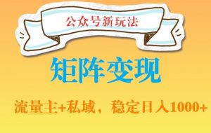 公众号软件玩法私域引流网盘拉新，多种变现，稳定日入1000【揭秘】-淘金日记
