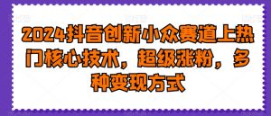 2024抖音创新小众赛道上热门核心技术,超级涨粉,多种变现方式【揭秘】-淘金日记