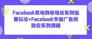 Facebook菜鸟到老鸟全系列运营玩法+Facebook专业广告投放全系列课程-淘金日记