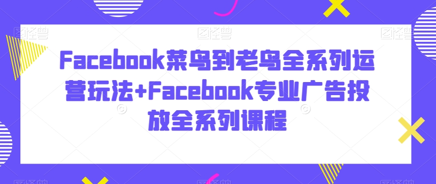 Facebook菜鸟到老鸟全系列运营玩法+Facebook专业广告投放全系列课程-淘金日记