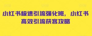 小红书极速引流强化班,小红书高效引流获客攻略-淘金日记