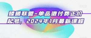 臻曦联盟-单品微付费正价起号，2024年1月最新课程-淘金日记