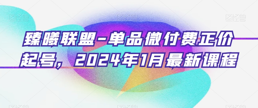 臻曦联盟-单品微付费正价起号,2024年1月最新课程-淘金日记