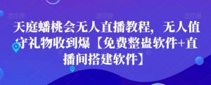 天庭蟠桃会无人直播教程，无人值守礼物收到爆【免费整蛊软件+直播间搭建软件】-淘金日记