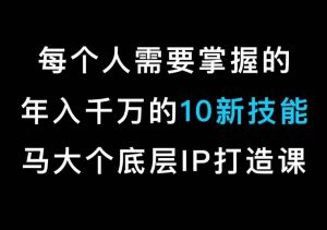马大个的IP底层逻辑课，​每个人需要掌握的年入千万的10新技能，约会底层IP打造方法！-淘金日记