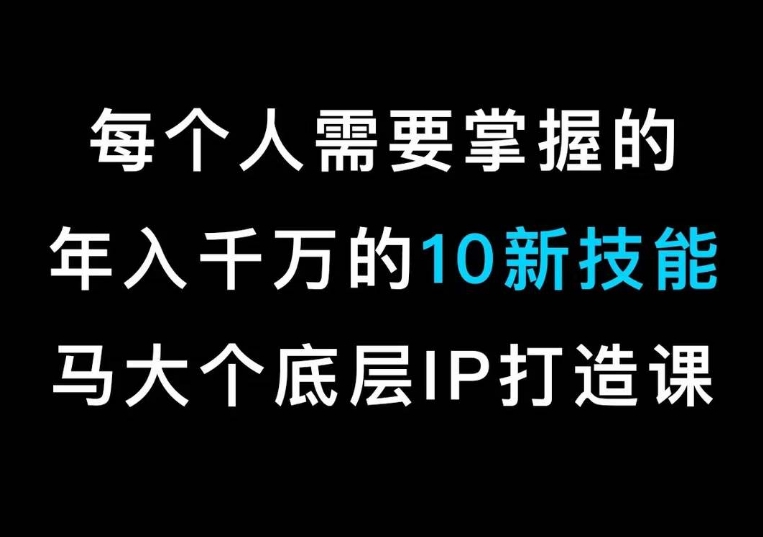 马大个的IP底层逻辑课，​每个人需要掌握的年入千万的10新技能，约会底层IP打造方法！-淘金日记