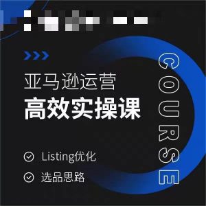 亚马逊运营高效实操课,Listing优化,选品思路-淘金日记
