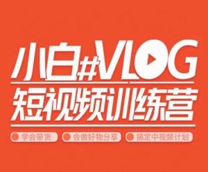 小呆说视–小白VLOG短视频训练营,学会带货、好物、直播、中视频-淘金日记