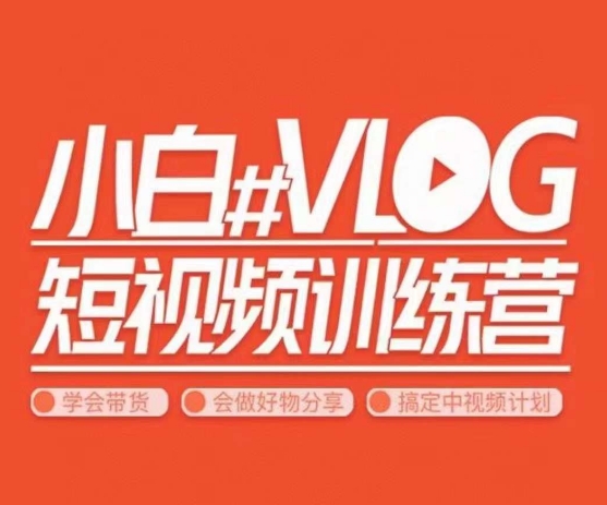 小呆说视–小白VLOG短视频训练营，学会带货、好物、直播、中视频-淘金日记