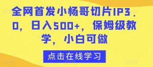 全网首发小杨哥切片IP3.0，日入500+，保姆级教学，小白可做【揭秘】-淘金日记