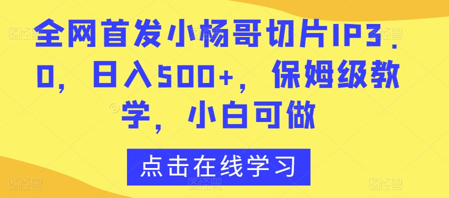 全网首发小杨哥切片IP3.0，日入500+，保姆级教学，小白可做【揭秘】-淘金日记
