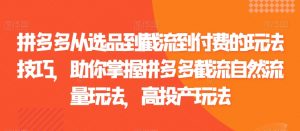 拼多多从选品到截流到付费的玩法技巧,助你掌握拼多多截流自然流量玩法,高投产玩法-淘金日记