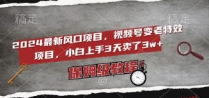 2024最新风口项目,视频号变老特效项目,电脑小白上手3天卖了3w+,保姆级教程【揭秘】-淘金日记
