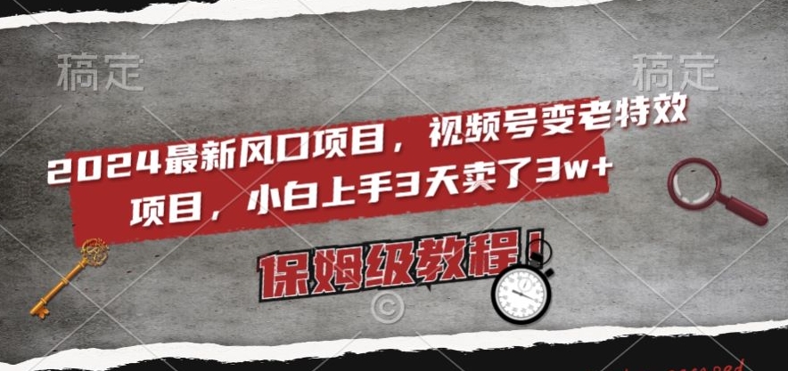 2024最新风口项目,视频号变老特效项目,电脑小白上手3天卖了3w+,保姆级教程【揭秘】-淘金日记